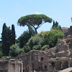 428-italy-rome-ruins-palatine-hill.JPG