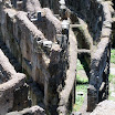 363_-italy-rome-ruins-colusseum-palatine-hill.JPG
