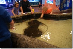Aquarium April 2011 029