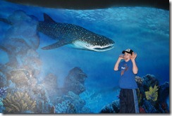 Aquarium April 2011 033