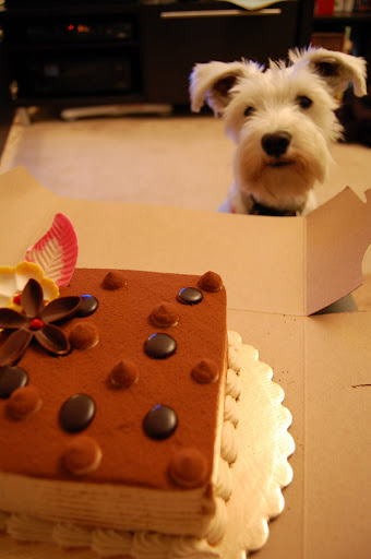 No, Maui did not get any of this!