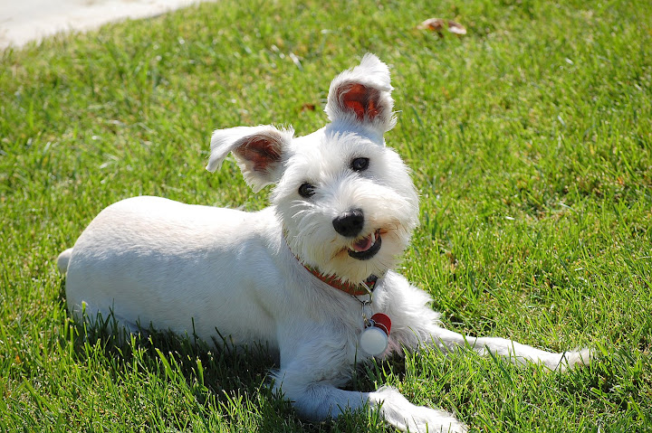 I love when its sunny outside... I get to play all day!