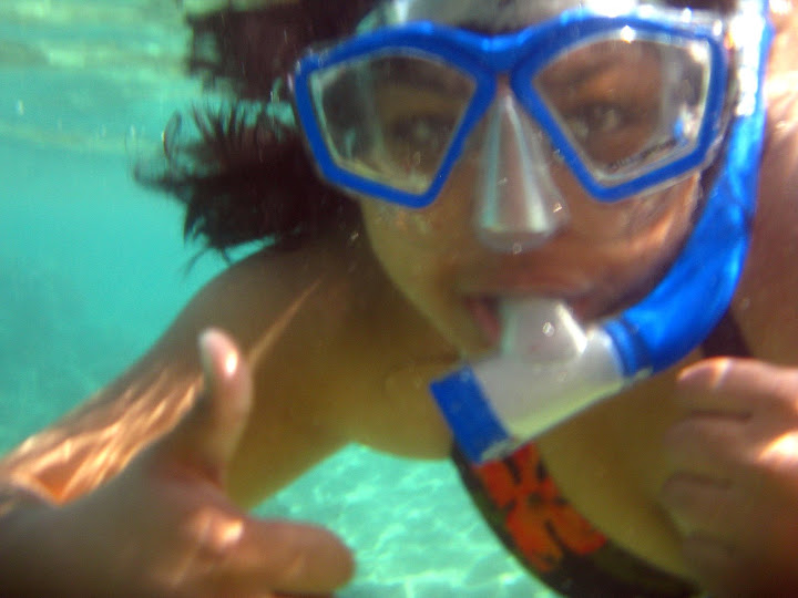 Snorkeling A puffer fish followed me while I was snorkeling! ACK!
