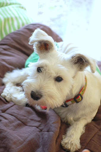Arent I cute?!