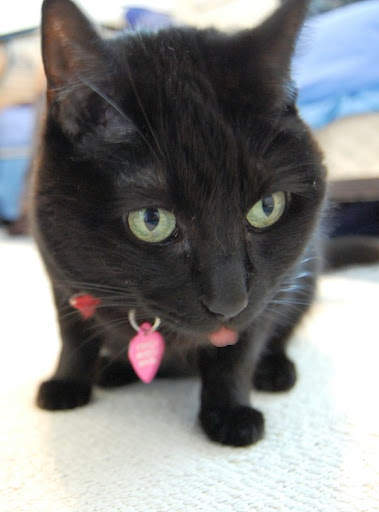 Shes looking for some num nums.