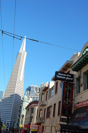 A view of the Transamerica Tower.