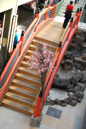 We go to walk around at the Cherry Blossom Festival in Japantown.