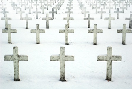 crosses in cemetary - shutterstock_1019335