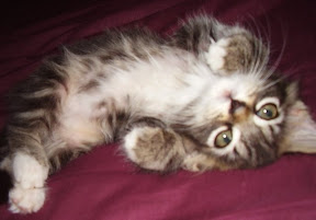 Sweet Lil\