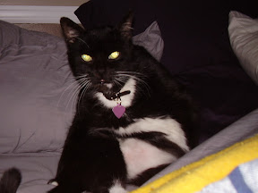 Jack Lounging In Bed