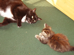 Jack & Baby Missy