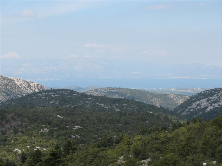 Foto de    Πάρνηθα: Μόλα - Σφενδάλη (Μαλακάσα)
