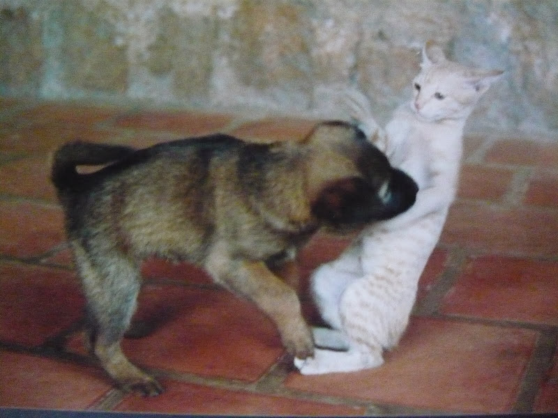 Rusty and Slinky