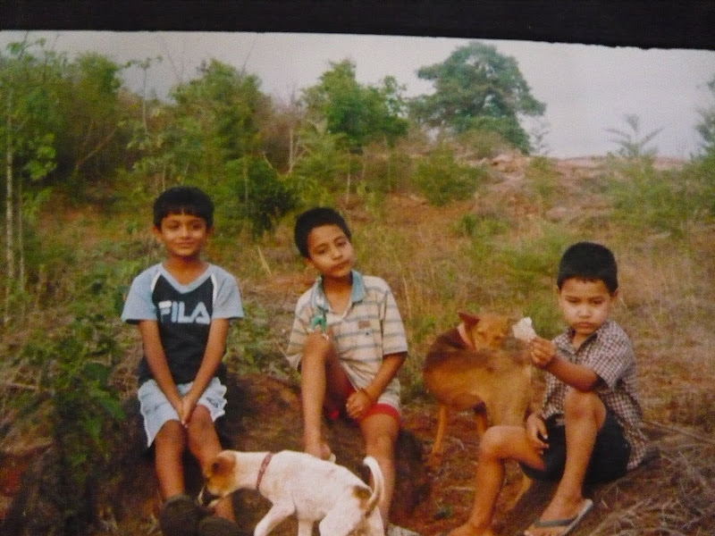 Hippo,Pulippo,Chutty,Magic,Chocolatix