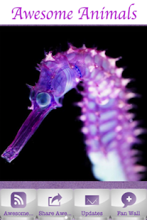 How to mod Awesome Animals 1.400 mod apk for android