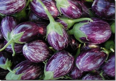 eggplant_rosabianca