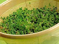 [broto2_200x150[4].jpg]