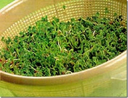 broto2_200x150