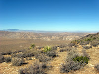 IMG_5882.JPG
