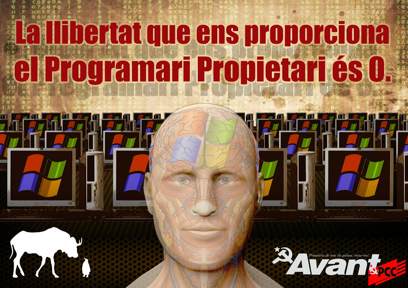 Portada Avant 7