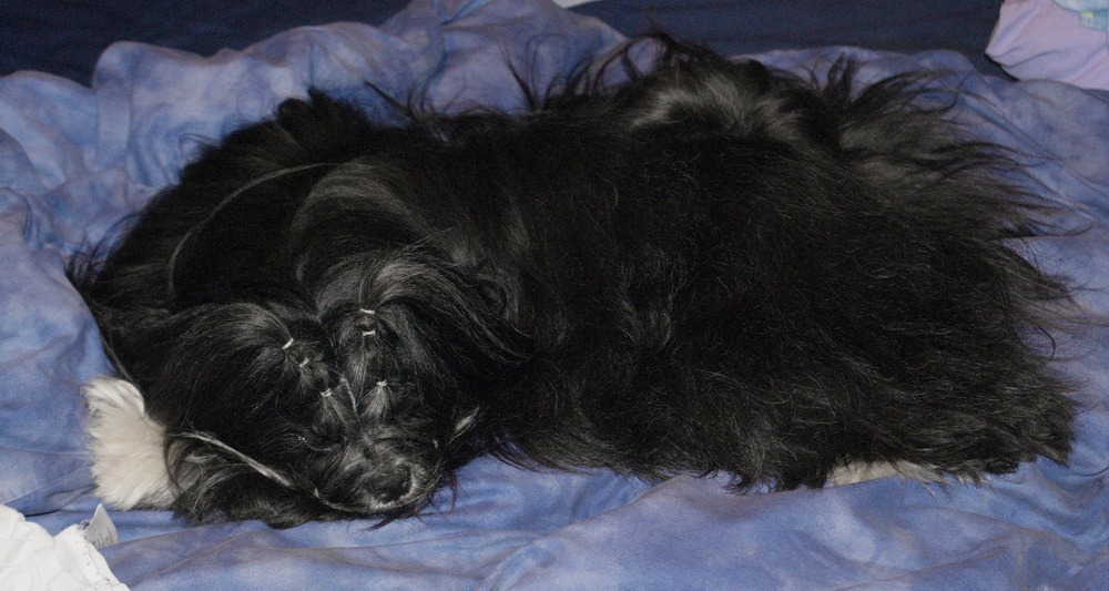 [Whitney bed[2].jpg]