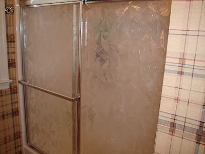 Shower door