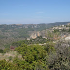 IMG_1379.jpg