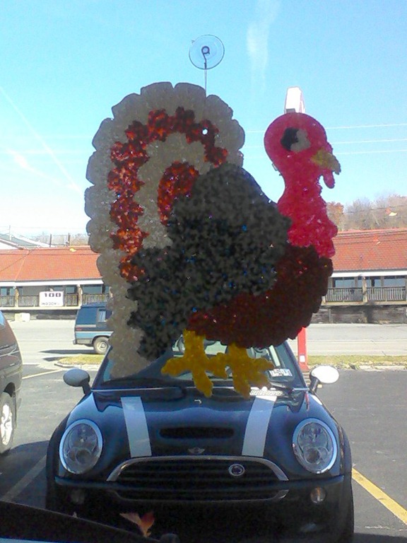 [TurkeyMini[4].jpg]