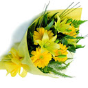 bo%20hoa%203.jpg9WSuZFM3Rg8