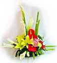 Cam_Bong_Img_0018-02.jpg9WSuZFM3Rg8
