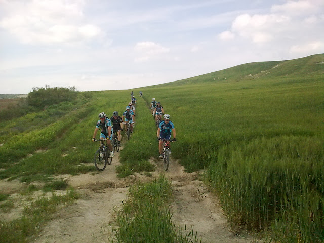 Atravesando la pradera