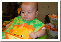 Picture 032