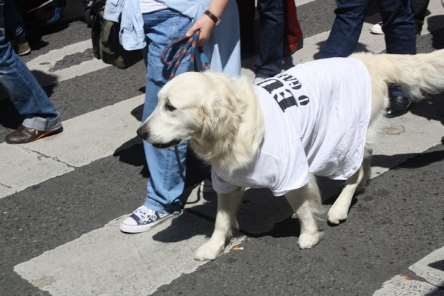 Manifestación queremos galego06.JPG