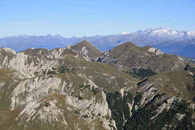 IMG_7339.JPG