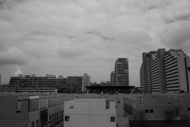 IMG_7056.JPG