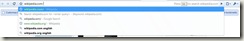 Chrome31