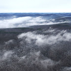 Ice Storm Damage survey: Leg One, Little Rock to Fayetteville