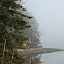 Oystering in the fog along Hood Canal