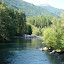 Cispus River