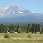 Mt. Adams from Trout Lake