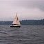 Whisper charges through Port Madison Whisper charges through Port Madison