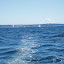 View astern as we motor toward Kingston