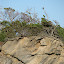 Eagle and rock formation, North Finger Island