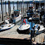 Four Potters at Zittels Marina