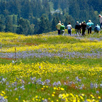 May 2009: Farm tour