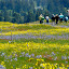 Prairie tour Prairie tour