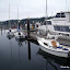 Potters at the Swantown dock