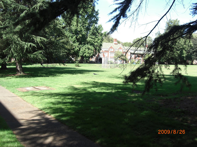 Ditto....Notice the swing set ?