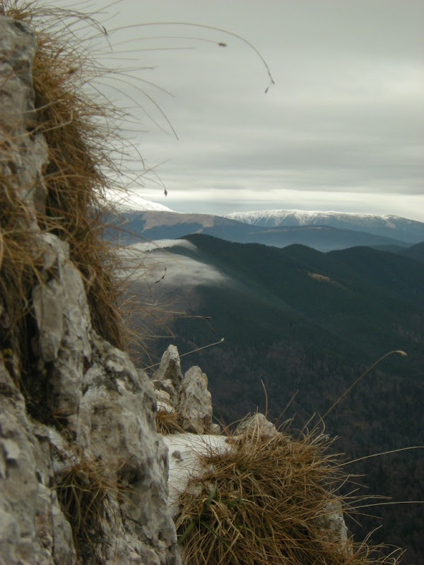 Piatra Craiului