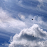 TV helicopters